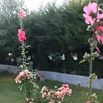 19 فندق Çeşme