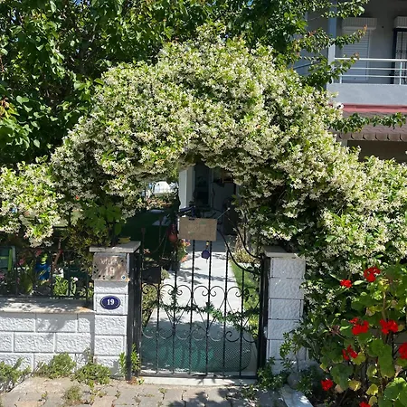 فندق 19 *