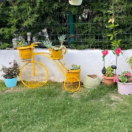 19 Apart Çeşme